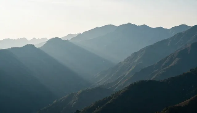 网络较为完善对旅游服务体验的影响